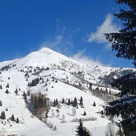 Pinetrees Lodge Плав Екстер'єр фото