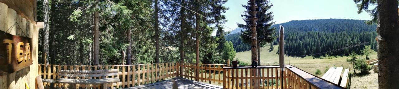 Pinetrees Lodge Плав Екстер'єр фото