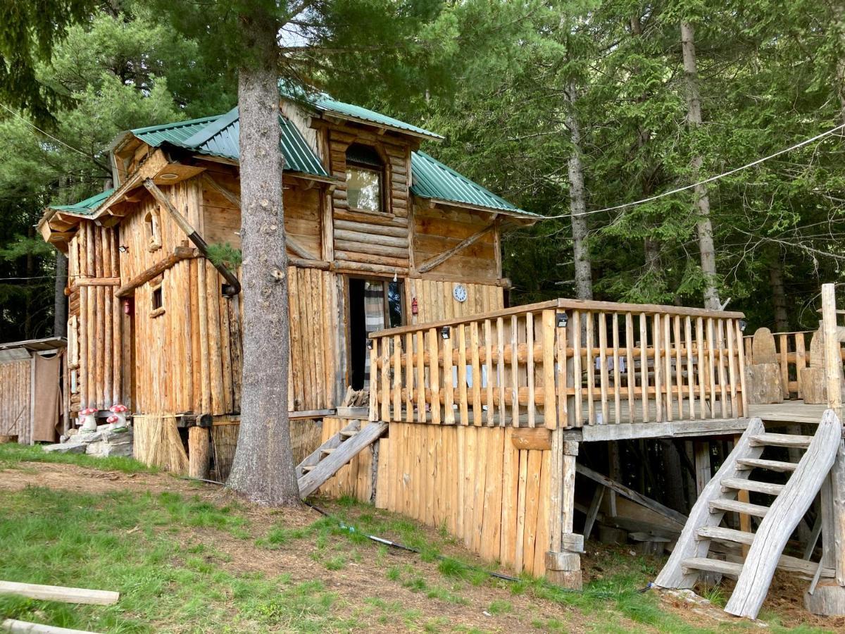 Pinetrees Lodge Плав Екстер'єр фото