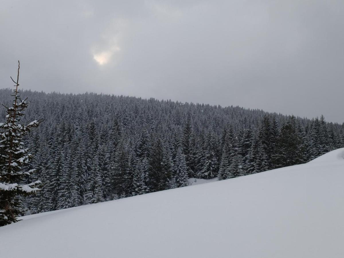 Pinetrees Lodge Плав Екстер'єр фото