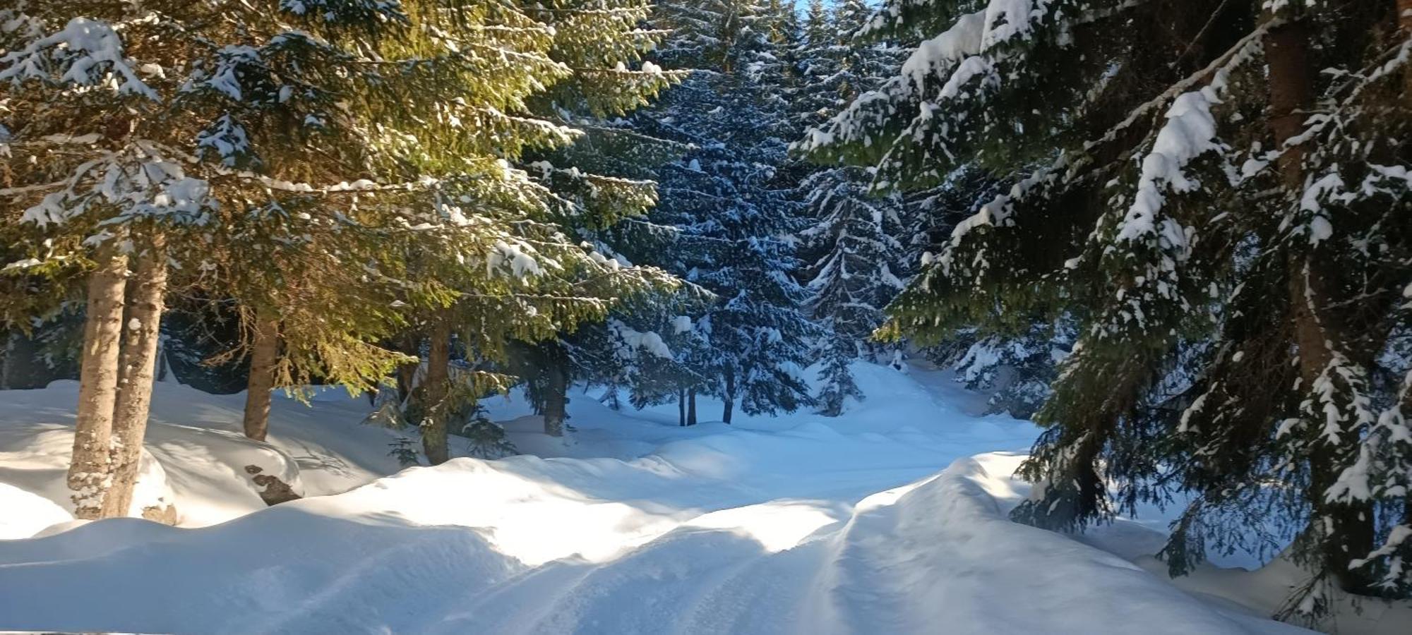 Pinetrees Lodge Плав Екстер'єр фото