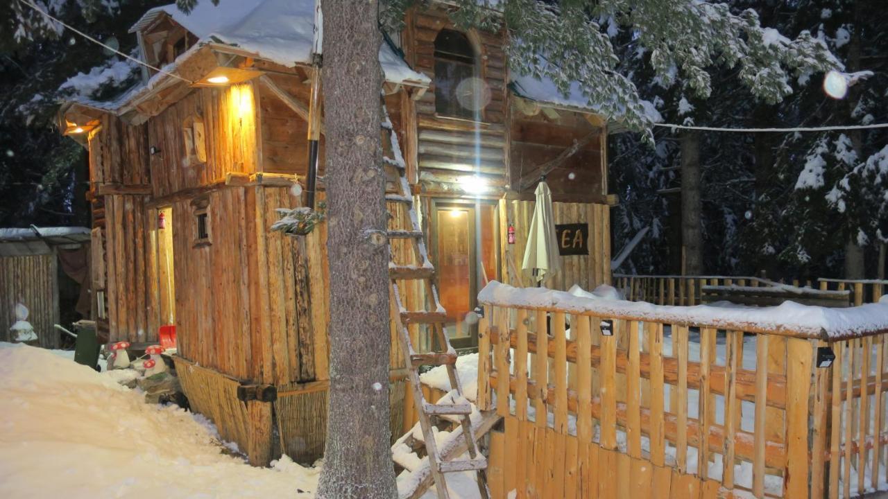 Pinetrees Lodge Плав Екстер'єр фото