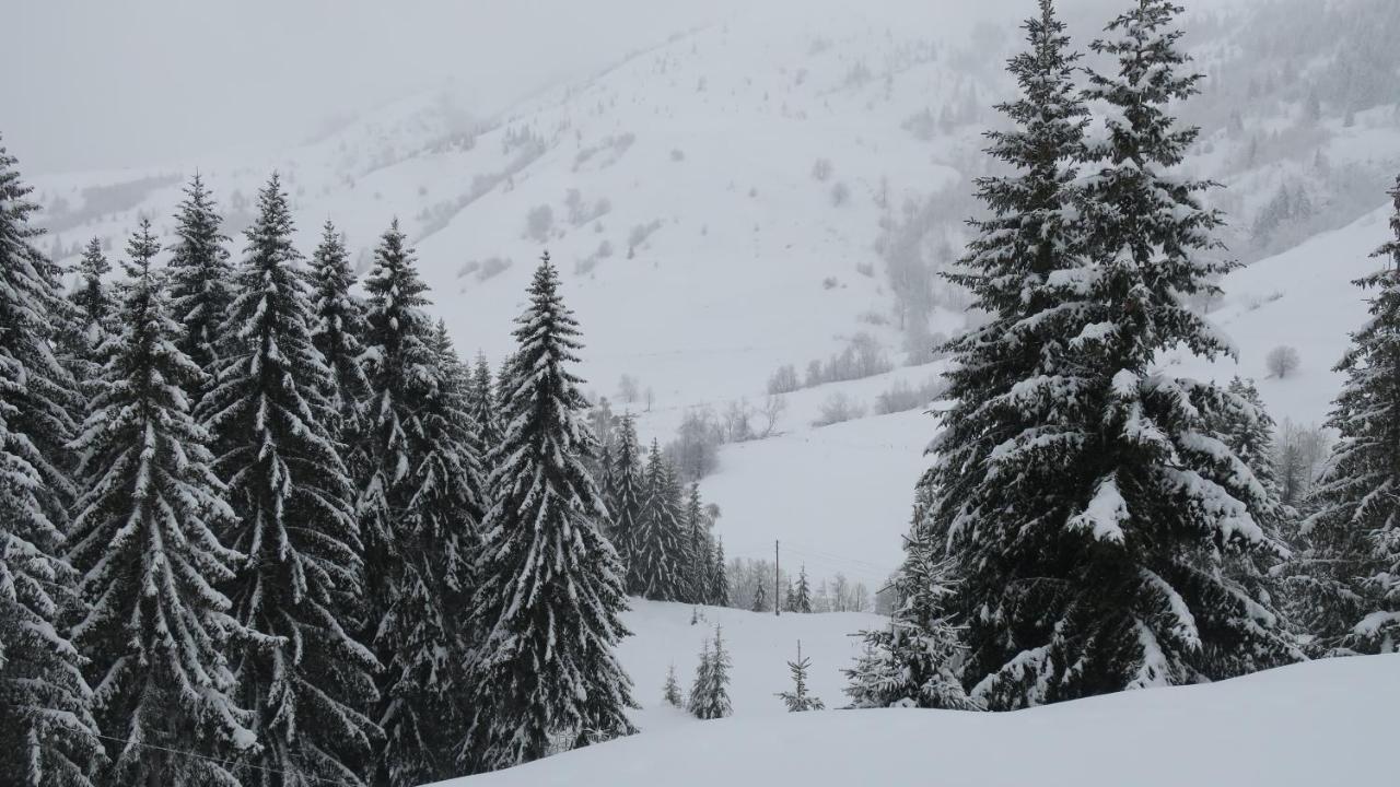 Pinetrees Lodge Плав Екстер'єр фото