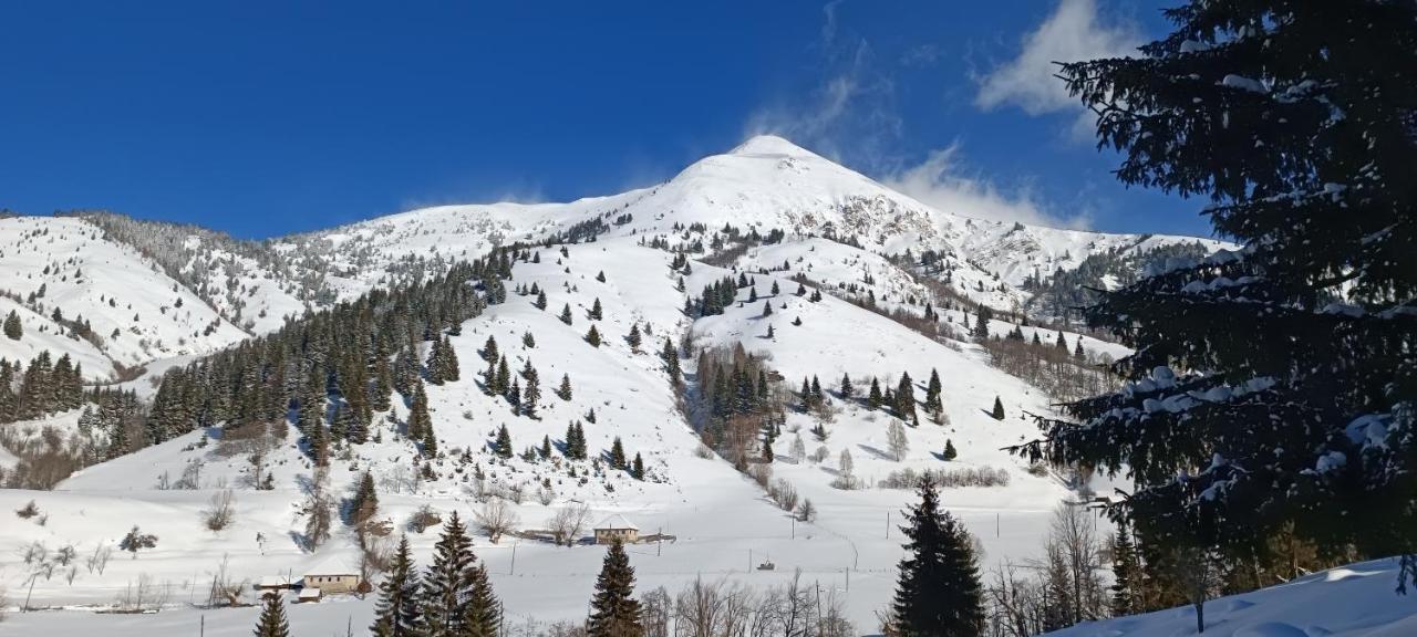 Pinetrees Lodge Плав Екстер'єр фото