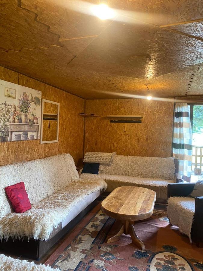 Pinetrees Lodge Плав Екстер'єр фото