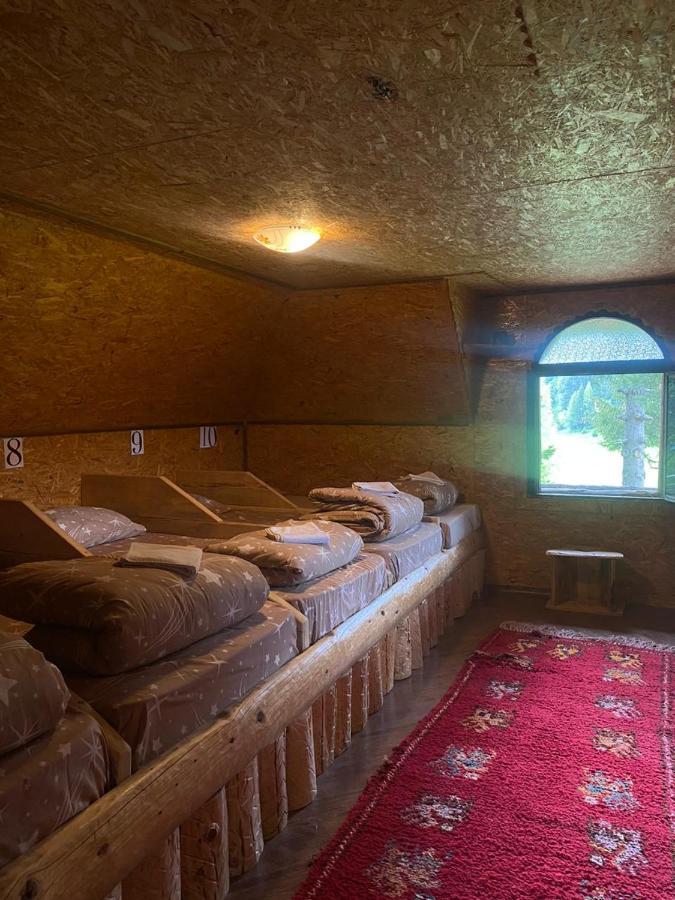 Pinetrees Lodge Плав Екстер'єр фото