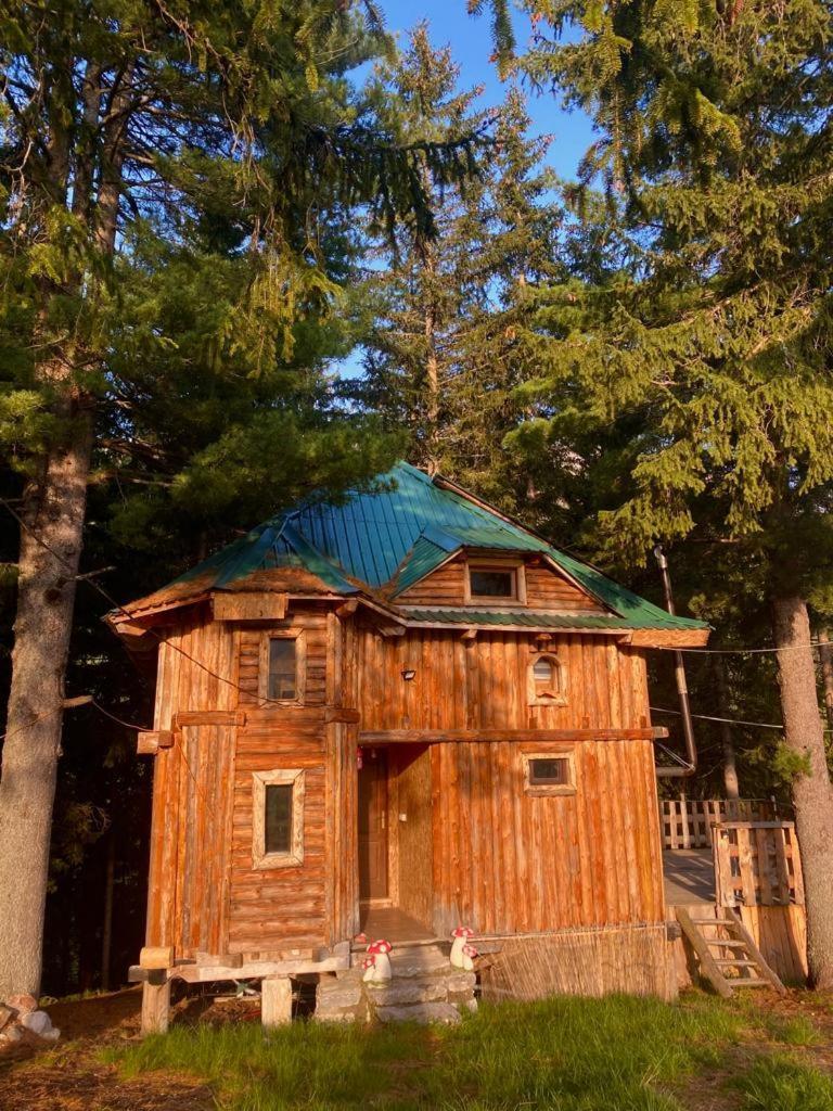 Pinetrees Lodge Плав Екстер'єр фото